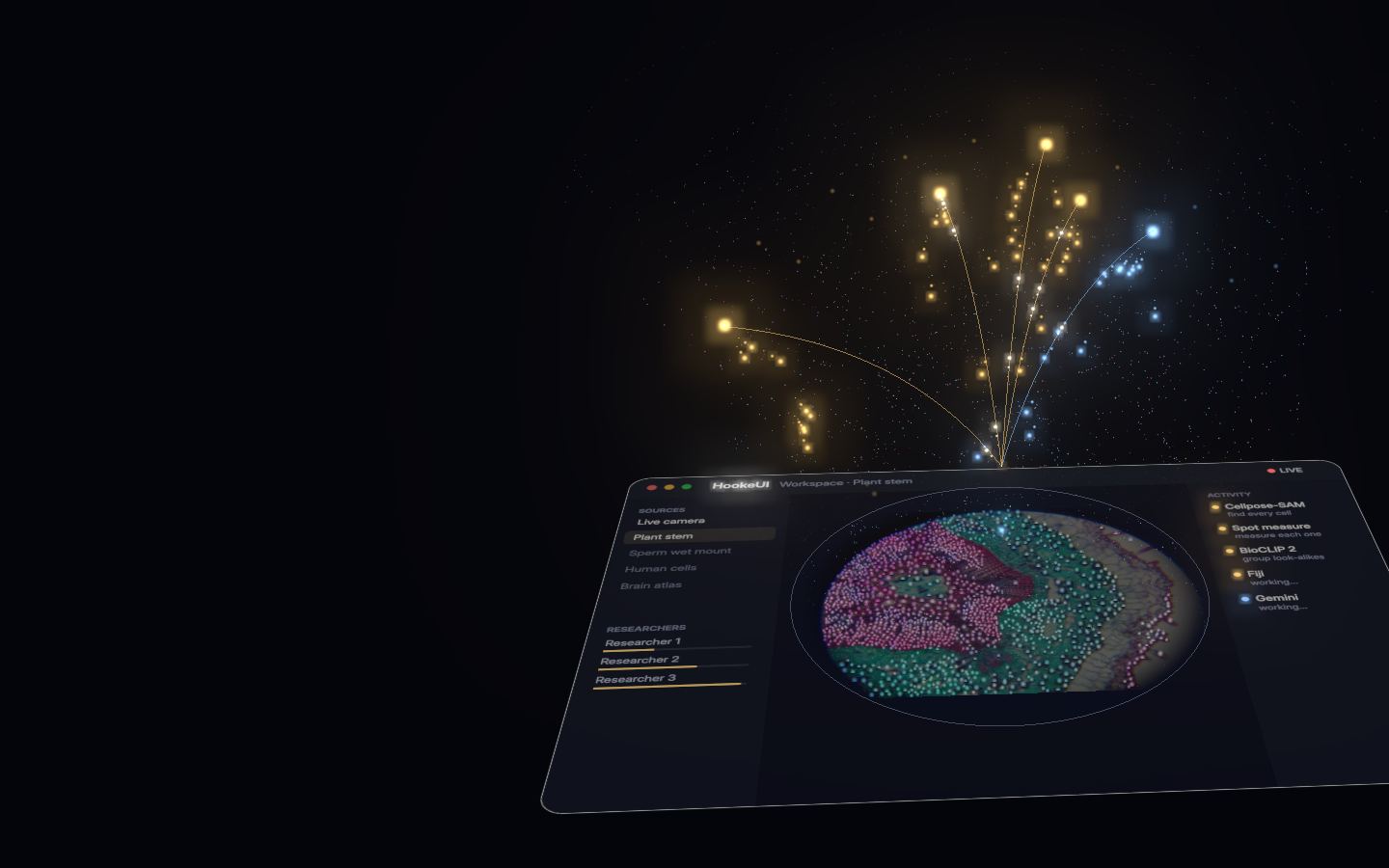 HookeUI's workspace with a live specimen, a question on it and the open-source models it stacks above.